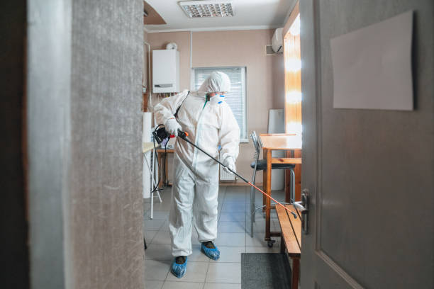 Mold Remediation for Vacation Homes in Oak Bluffs, MA