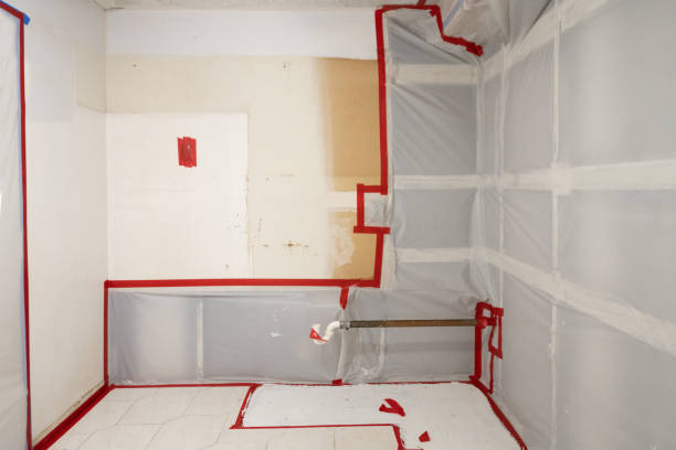 Best Mold Odor Removal Services  in Oak Bluffs, MA