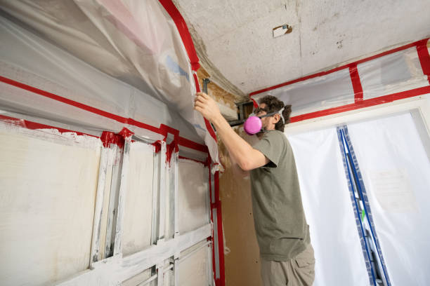 Dehumidification Services in Oak Bluffs, MA