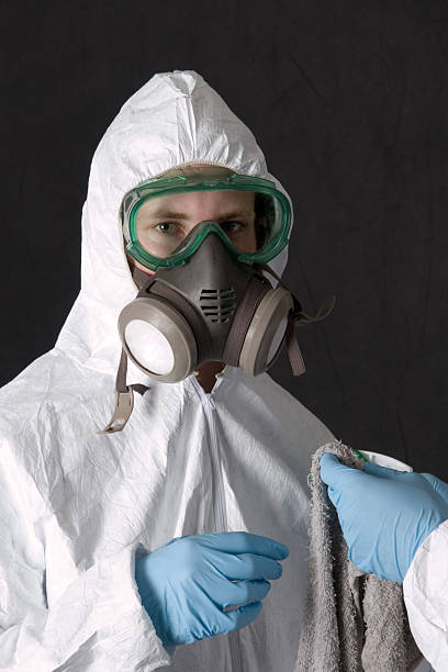 Best Mold-Related Health Consultation  in Oak Bluffs, MA